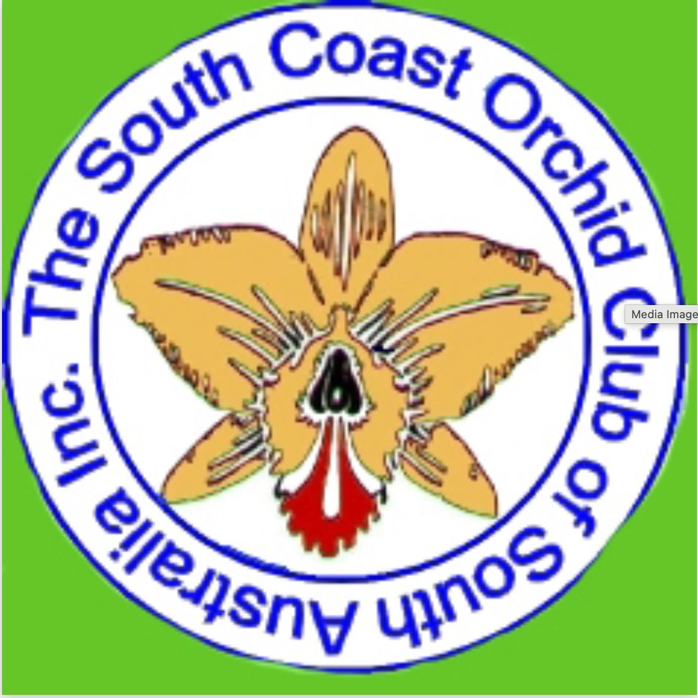 SCOCSA Logo